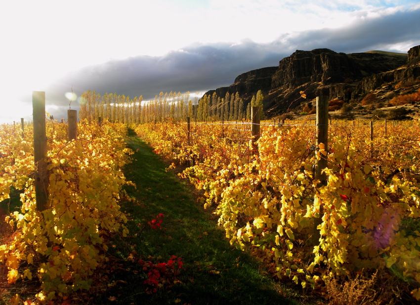 cascade  cliffs winery